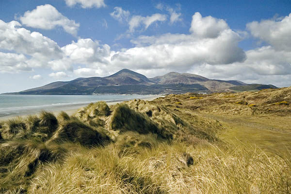Mournes from Murlough